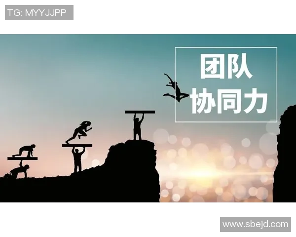 北京排球队团队协作的成功秘诀与实践探索分析