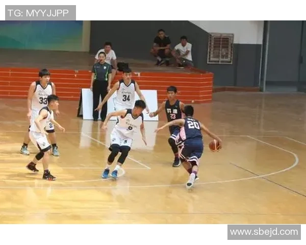 对话王敏：回顾篮球生涯中的挑战与成就分享