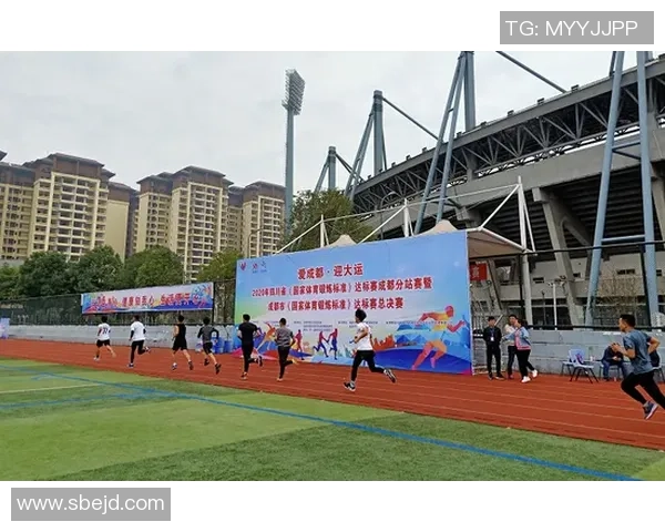 成都羽毛球队总决赛表现分析与状态评估探讨