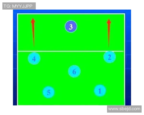 武汉排球队挑战赛战术解析与表现评估全面分析 武汉排球队挑战赛战术解析与表现评估全面分析