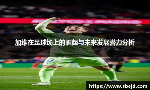 k1体育