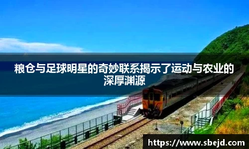 k1体育-十年品牌